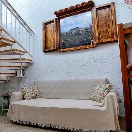 Dani House *
